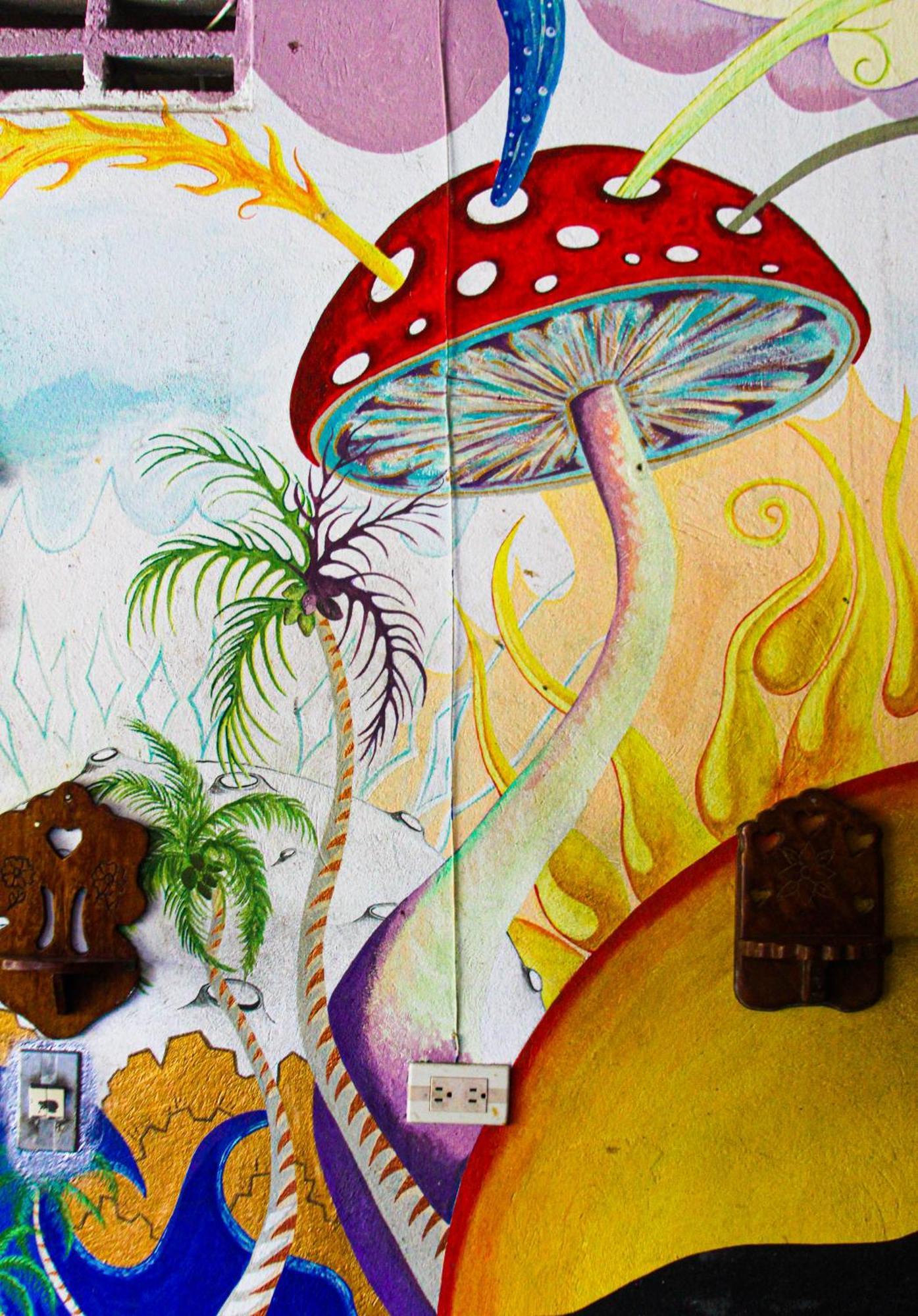 Casa Surf Mar Azul Guest house Palomino
